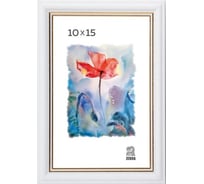 Пластиковая фоторамка Зебра PS_100_10x15 X7478975