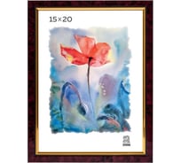 Пластиковая фоторамка Зебра PS_202_15x20 X7483451