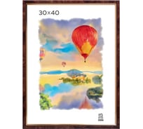 Пластиковая фоторамка Зебра PS_201_30x40 X7481695