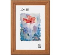 Деревянная фоторамка Зебра PS_1703_10x15 X7481196