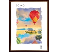 Пластиковая фоторамка Зебра PS_205_30x40 X7480247