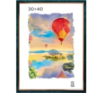 Пластиковая фоторамка Зебра PS_206_30x40 X7480590