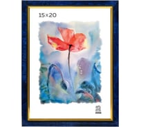 Пластиковая фоторамка Зебра PS_204_15x20 X7483326