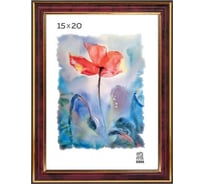 Пластиковая фоторамка Зебра PS_302_15x20 X7478593