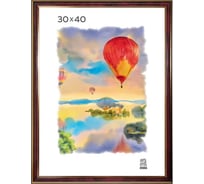 Пластиковая фоторамка Зебра PS_302_30x40 X7479568