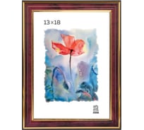 Пластиковая фоторамка Зебра PS_302_13x18 X7483710