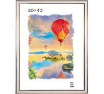 Пластиковая фоторамка Зебра PS_300_30x40 X7478573