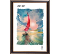 Пластиковая фоторамка Зебра PS_308_21x30 X7479118