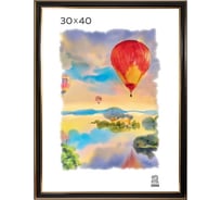 Пластиковая фоторамка Зебра PS_308_30x40 X7479155