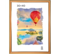 Пластиковая фоторамка Зебра PS_303_30x40 X7476604