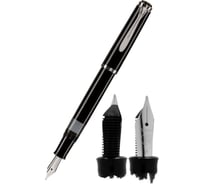 Перьевая ручка Pelikan Elegance Classic M205 M 972067
