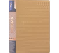 Папка Expert Complete на 2 О-кольцах A4 700 мкм 25 мм d - 20 мм золотой 4 шт в упаковке 679358