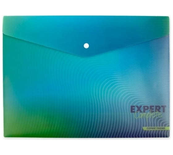 Папка-конверт Expert Complete с кнопкой A4 180 мкм песок 20 шт в упаковке 649621