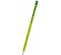Чернографитный карандаш BRAUBERG Green, 1 шт., Hb, с ластиком, пластиковый, ассорти, 181746