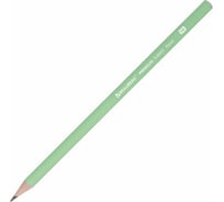 Чернографитный карандаш BRAUBERG Premium Turkey, 1 шт., Pastel, Нв, ассорти, дисплей 181559