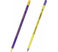 Чернографитный карандаш НВ ЮНЛАНДИЯ, пластиковый, корпус ассорти, с ластиком, 100 шт., 181446