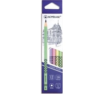 Чернографитный карандаш ACMELIAE 12 шт, 2B круглый с принтом 43518