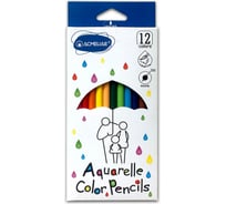 Набор акварельных цветных карандашей 12цв.+кисточка ACMELIAE 9401-12