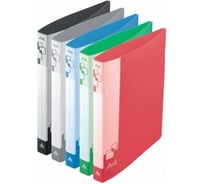Папка на 2-х кольцах Бюрократ 0812/2R A4, пластик, 0.8 мм, корешок 40 мм, внутри с вставкой, ассорти, 16 шт в упаковке 816508