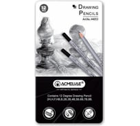 Набор чернографитных карандашей ACMELIAE 12 твердостей (2H,H,F,HB,B,2B,3B,4B,5B,6B,7B,8B), в металле 44053