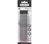 Набор чернографитных карандашей ACMELIAE 6 твердостей (2H,HB,2B,4B,6B,8B), в блистере 43709