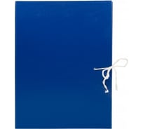 Архивный короб Silwerhof КБЗ-2-80Р 2 завязки, бумвинил, корешок 80 мм, разобранный, A4, ассорти, 25 шт в упаковке 1551372