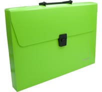 Портфель Silwerhof 322715-01 1 отделение, A4, пластик, зеленый неон, 14 шт в упаковке 1359490