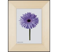 Деревянная рамка ООО Изометрика Victoria 40x50 см орех 0003-16-0006