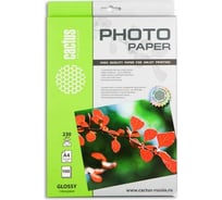 Фотобумага для струйной печати Cactus А4, 230г/м2, 100 листов, белая, глянцевая CS-GA4230100 805821