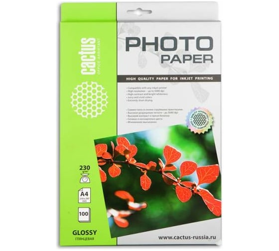 Фотобумага для струйной печати Cactus А4, 230г/м2, 100 листов, белая, глянцевая CS-GA4230100 805821 1