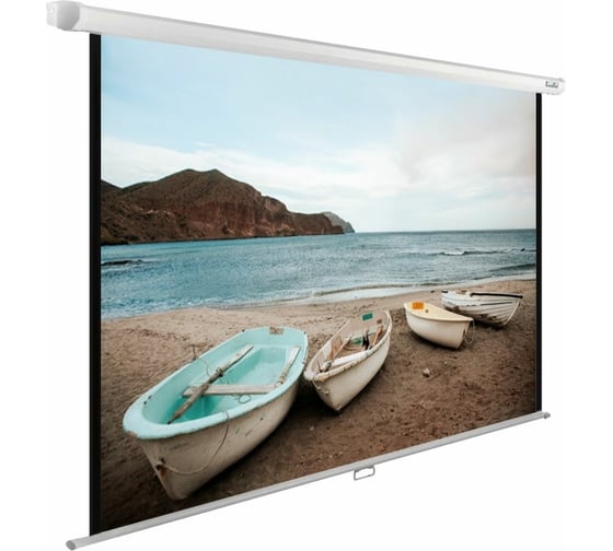 Настенно-потолочный рулонный экран Cactus WallExpert 16:10, 138x220 см, белый CS-PSWE-220X138-WT 407855 1