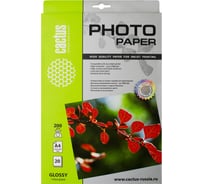 Фотобумага для струйной печати Cactus А4, 200г/м2, 20 листов, белая, глянцевая CS-GA420020 805819 24930087