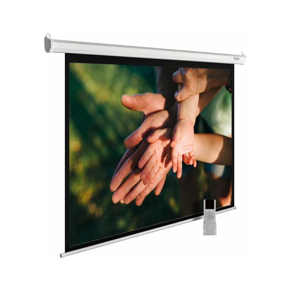 Alr экран cactus. Cactus motoexpert cs-psme-240x240-wt. cactus silvermotoexpert cs-pssme-280x175-wt. cactus motoexpert 240×150. экран для проектора кактус.