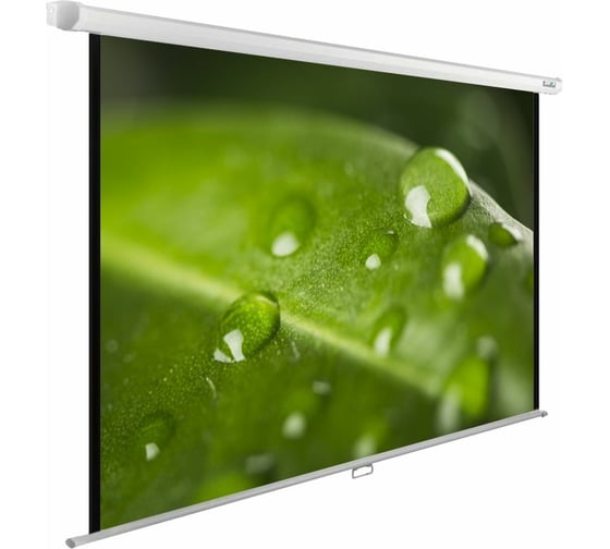 Настенно-потолочный рулонный экран Cactus WallExpert 4:3, 150x200 см CS-PSWE-200X150-WT 407891
