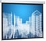 Настенно-потолочный рулонный экран Cactus Wallscreen 4:3, 183x244 см, белый CS-PSW-183X244 359052 1