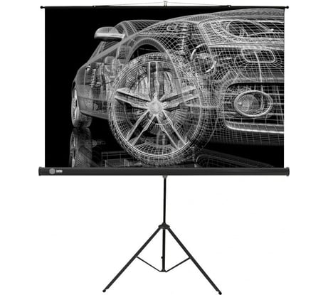 Напольный рулонный экран Cactus Triscreen 16:9, 124.5x221 см, черный CS-PST-124X221 359027