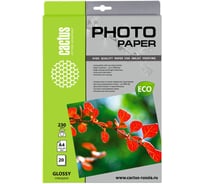 Фотобумага для струйной печати Cactus А4, 230г/м2, 20 листов, белая, глянцевая CS-GA423020E 343506