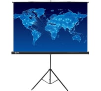 Напольный рулонный экран Cactus Triscreen 1:1, 150x150 см, черный CS-PST-150X150 359021