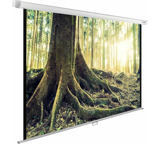 Настенно-потолочный рулонный экран Cactus WallExpert 1:1, 220x220 см CS-PSWE-220X220-WT 407890 1