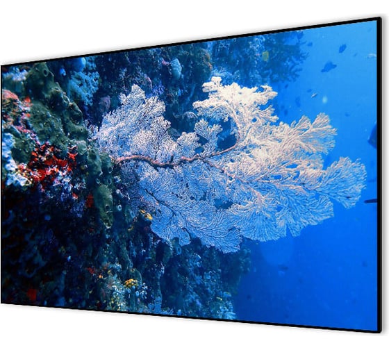 Настенный натяжной экран на раме Cactus Alr Expert 16:9, 151x267 см CS-PSALR-267X151 1417157 1