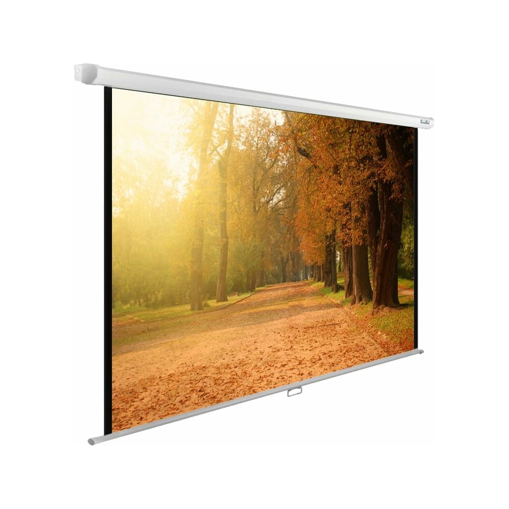 Экран cactus. Cactus CS-PSWE-200x200-WT. Cactus CS-PSWE-200x125-WT. Экран Cactus Wallscreen CS-PSW-124x221, 221х124.5 см, 16:9, настенно-потолочный белый. Экран Cactus 200x200см WALLEXPERT CS-PSWE-200x200-WT 1:1 настенно-потолочный рулонный.