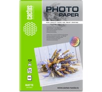 Фотобумага для струйной печати Cactus А3, 230г/м2, 50 листов, белая, матовая CS-MA323050 1558443