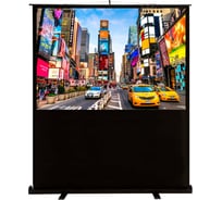 Напольный рулонный экран Cactus FloorCompactExpert 16:9, 113x200 см CS-PSFLCE-200X113 1070226