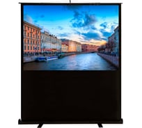 Напольный рулонный экран Cactus FloorCompactExpert 16:9, 90x160 см CS-PSFLCE-160X90 1070222