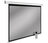 Настенно-потолочный рулонный экран Cactus SIlverMotoExpert 4:3, 150x200 см, темно-серый моторизованный привод CS-PSSME-200X150-DG 1167026