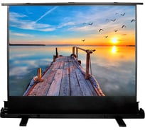 Напольный рулонный экран Cactus FloorExpert 16:9, 113x200 см CS-PSFLE-200X113 1070261