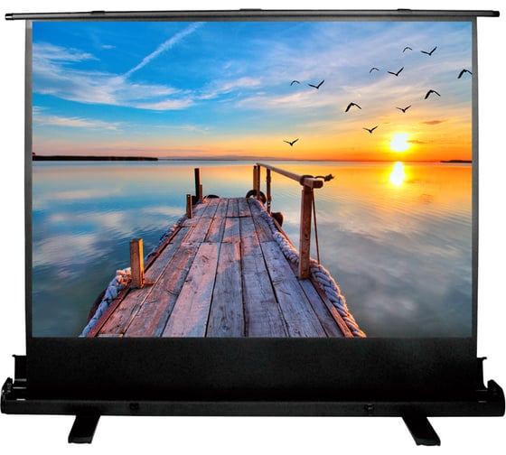 Напольный рулонный экран Cactus FloorExpert 16:9, 113x200 см CS-PSFLE-200X113 1070261 1