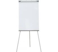 Флипчарт Cactus меламиновый, 67x105 см, на треноге CS-FCT-W67X105 1157985