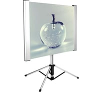 Напольный рулонный экран Cactus TriAlExpert 16:9, 102x180 см CS-PSTALE-180X102 1070236