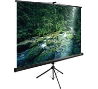 Напольный рулонный экран Cactus TriExpert 4:3, 165x220 см, черный CS-PSTE-220X165-BK 1021153